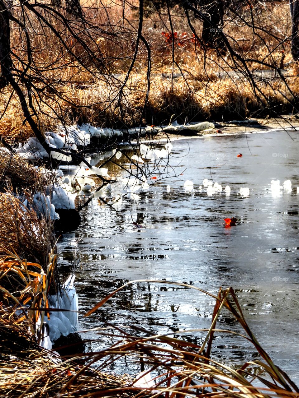 Beautiful semi frozen pond. Ice dangles from the tree branches that sparkling in the sunlight.