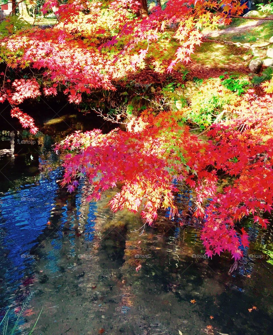 beautiful reflection