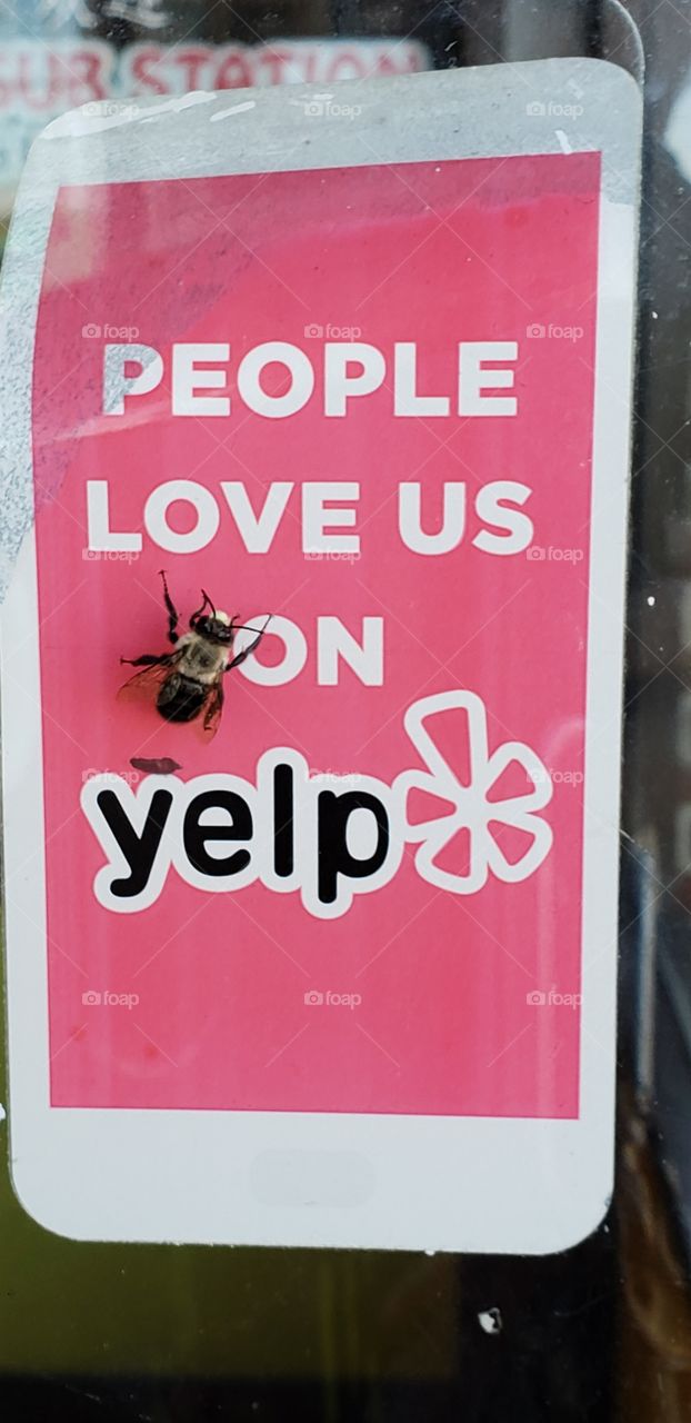 Bee on Yelp Signage
