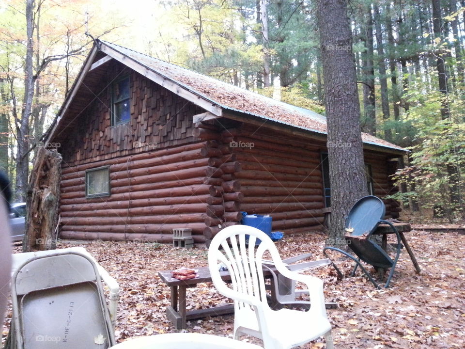 the cabin