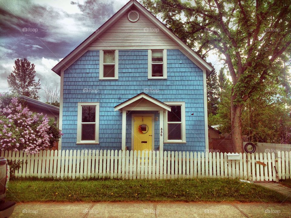 The Blue House 