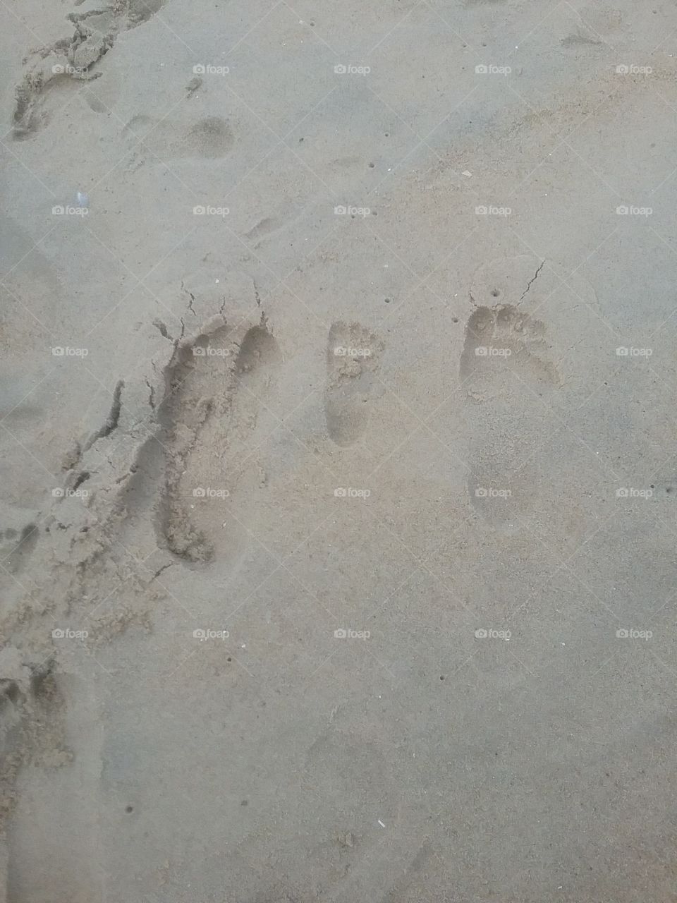 Family of Footprints in the Sand