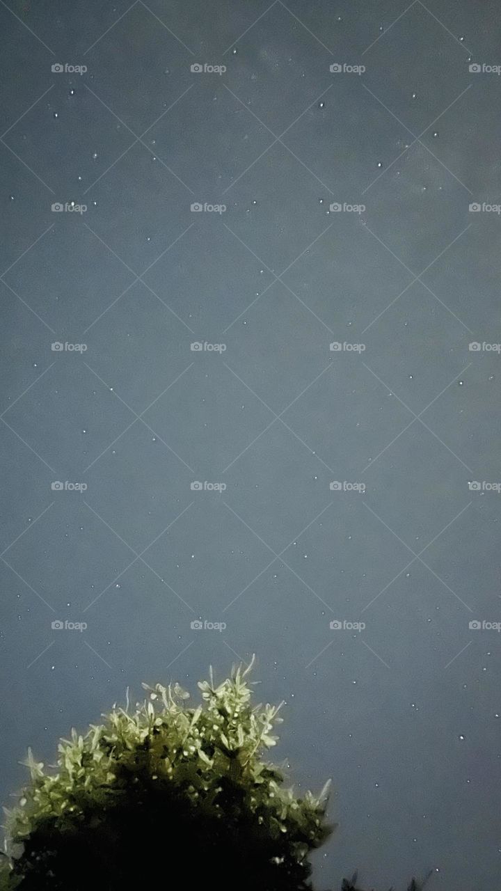 Stars in the night sky