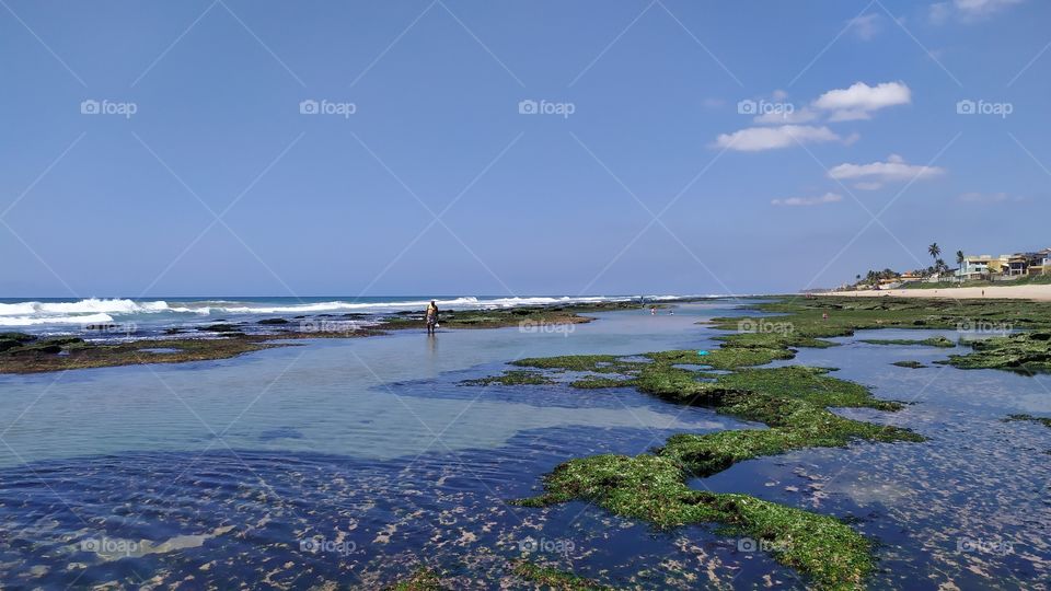 natural swimming pool