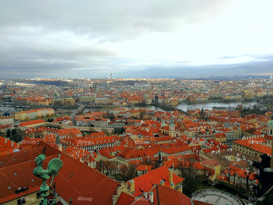 Prague From the Saint-Vitus Cathedral