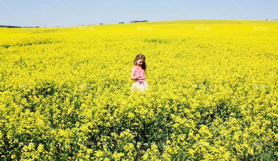 Girl in a sea of canola (rapeseed)