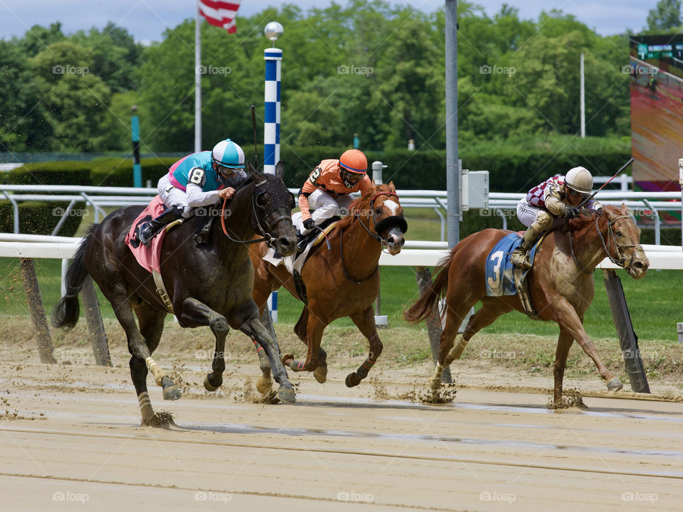 Big Bobby by Shanghai Bobby Rolls to Victory