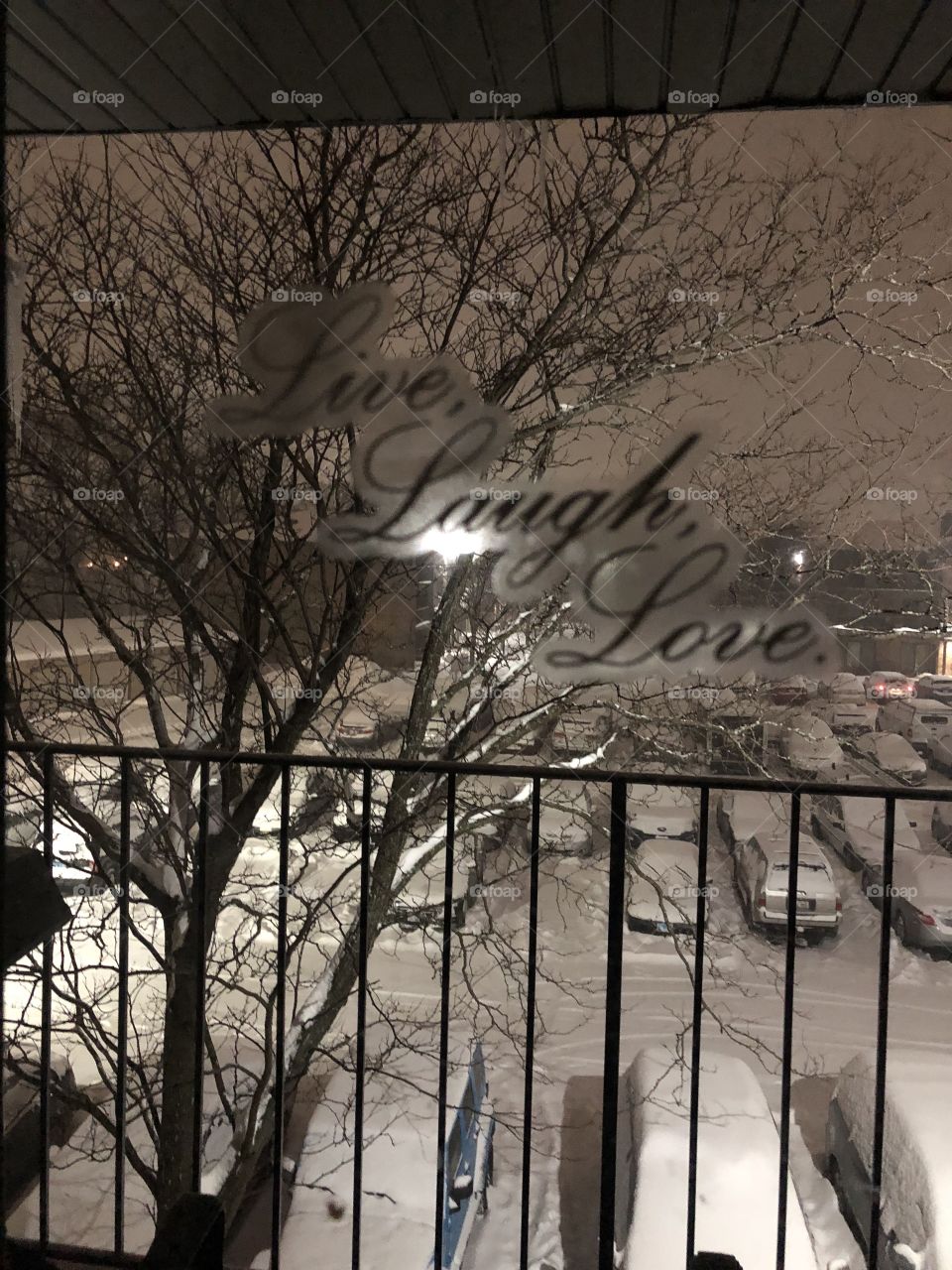 Winter in Chicago. Staring out my window 