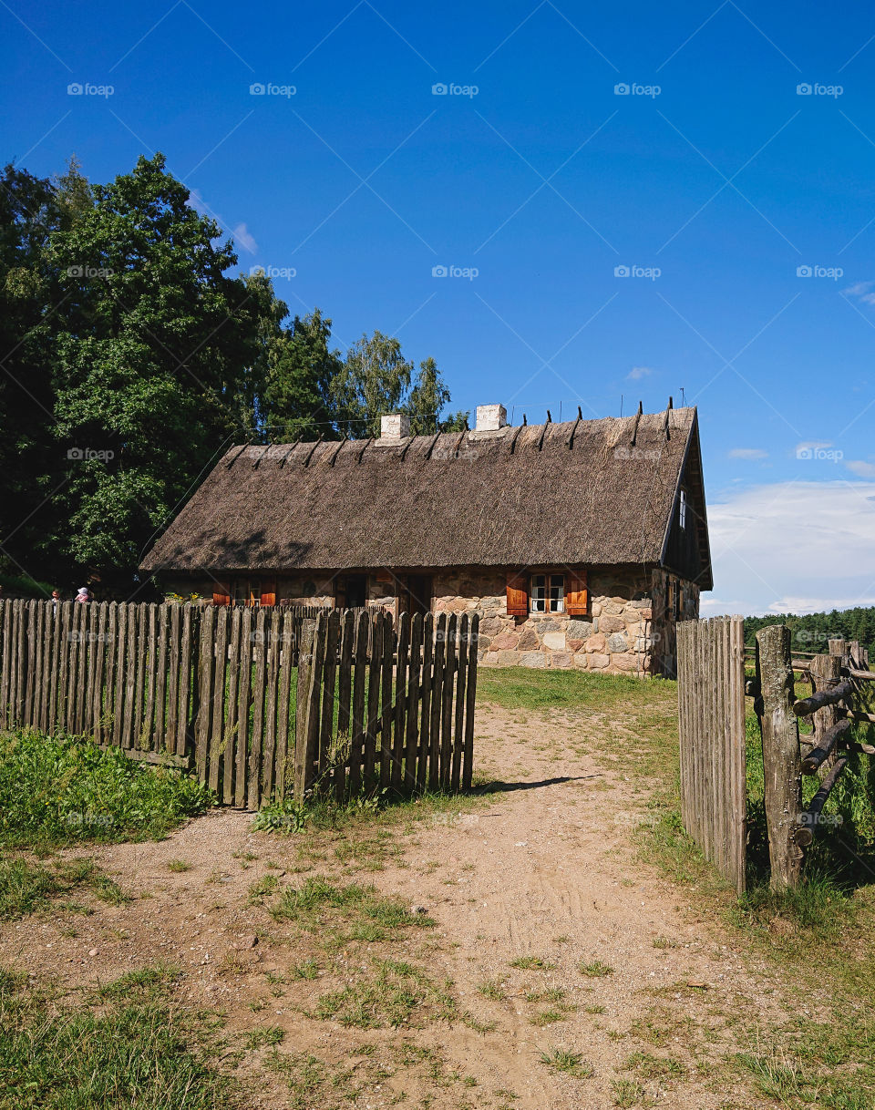 Rural scene