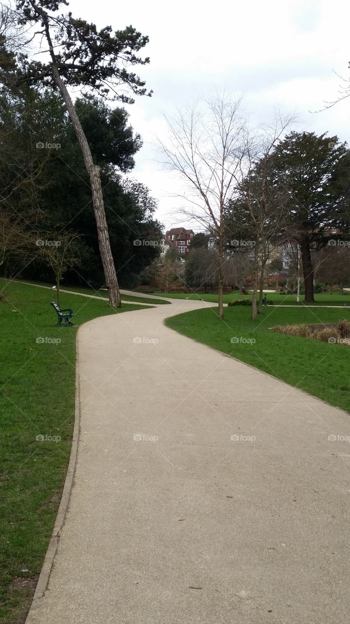 Golf, Tree, Landscape, Park, Grass