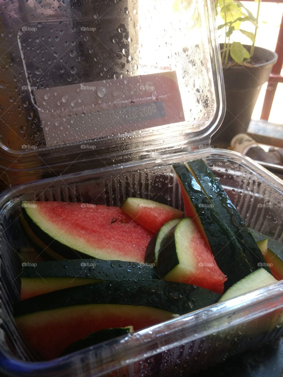 Watermelon!!