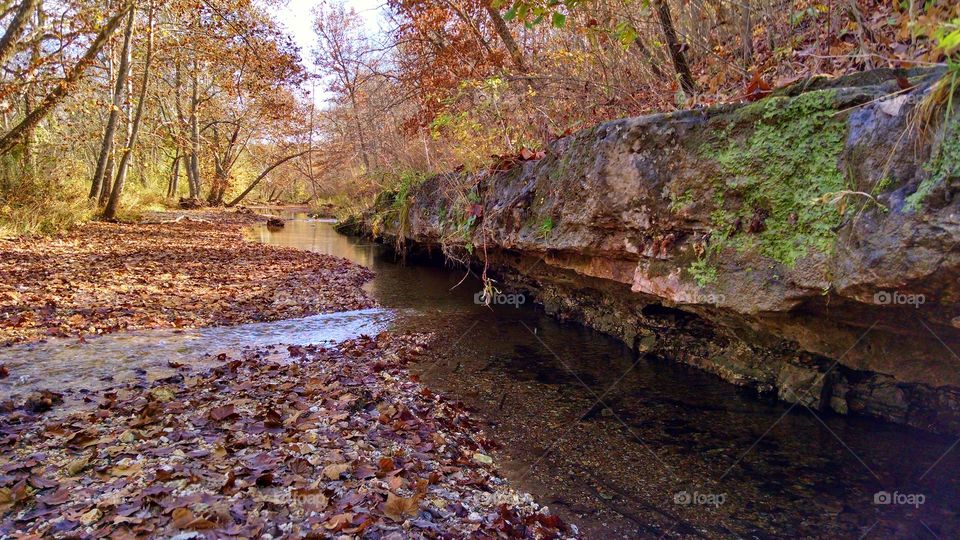 Mossy Rock, Little Saline Creek, Saline Valley Conservation Area