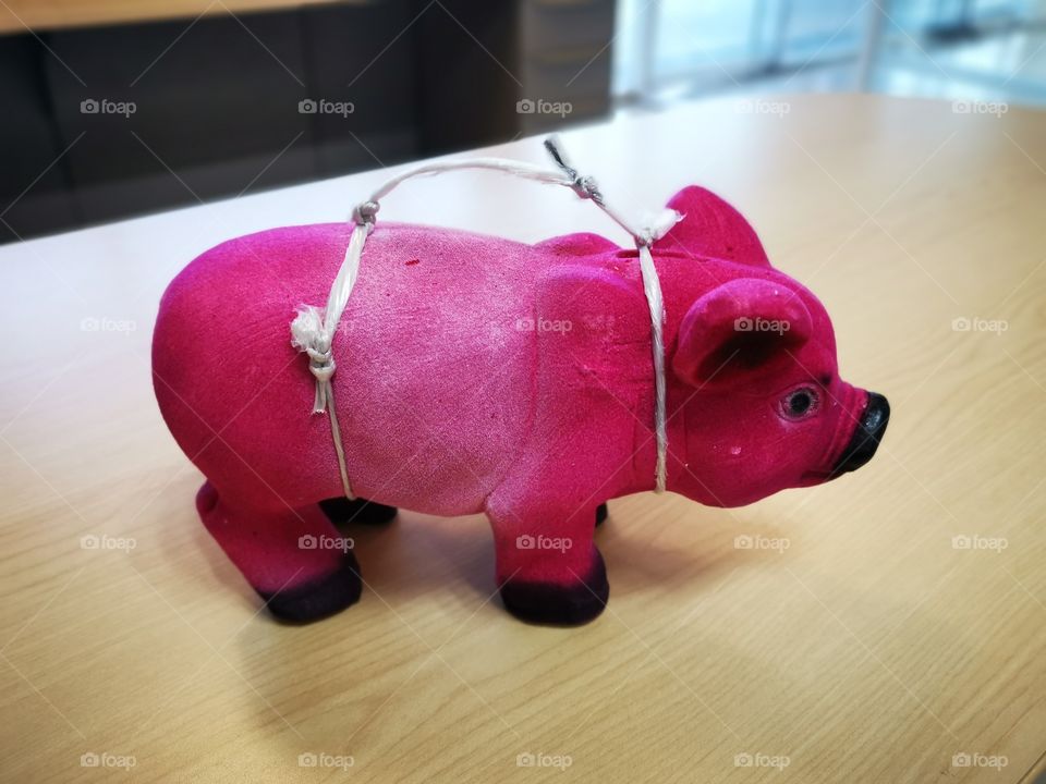 My New Pink Pig, So Quiet , So Pretty