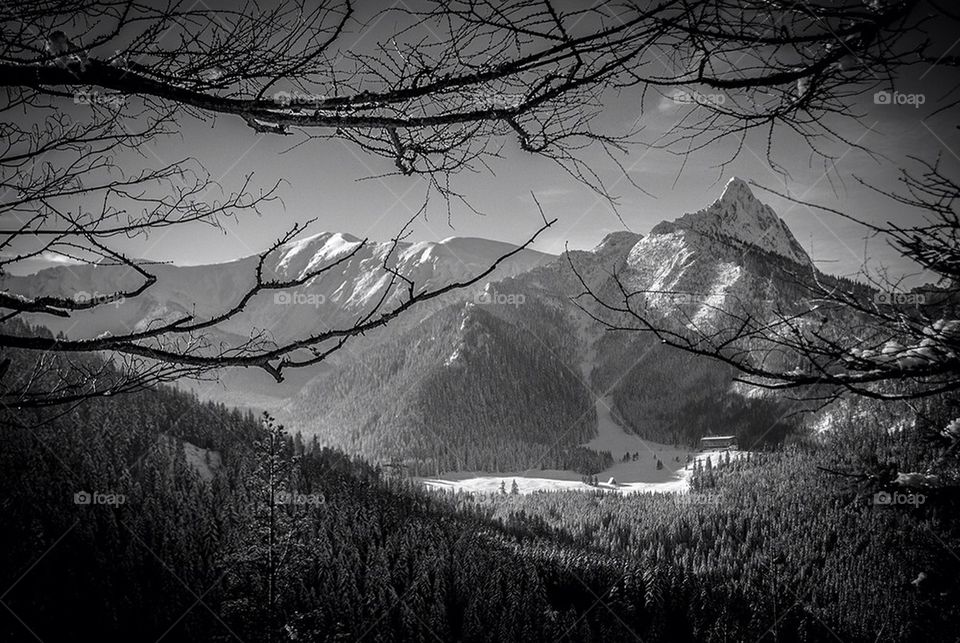 Walking through the snow