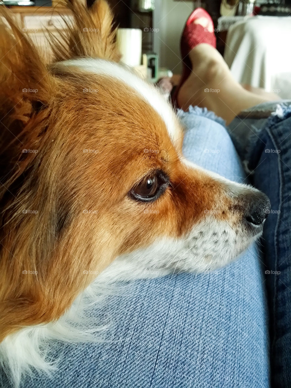 My Favorite Perspective