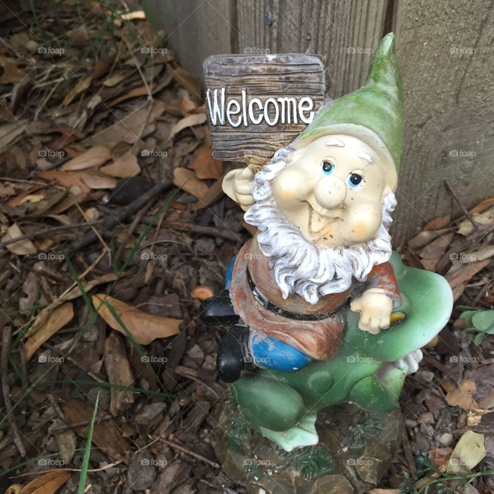 Happy, the garden gnome, and his frog, Hoppy! 