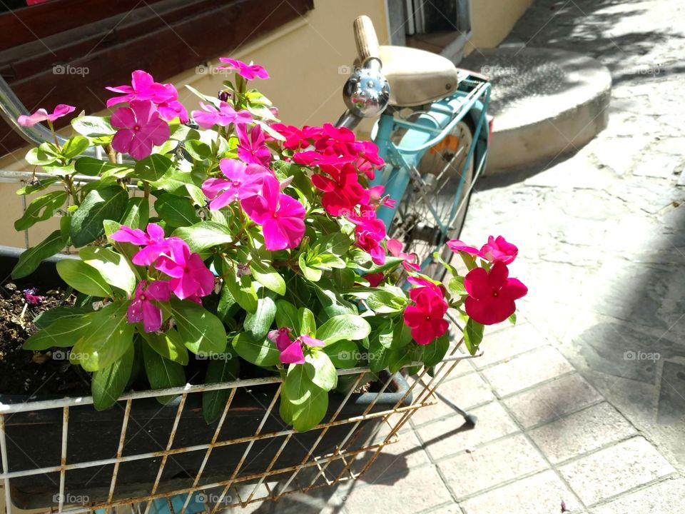 vélo en fleurs