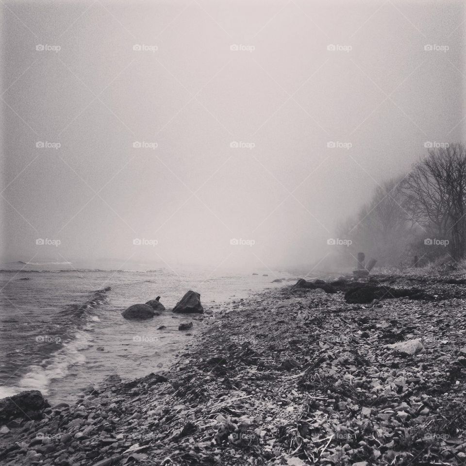 Mysterious winter day at the beach