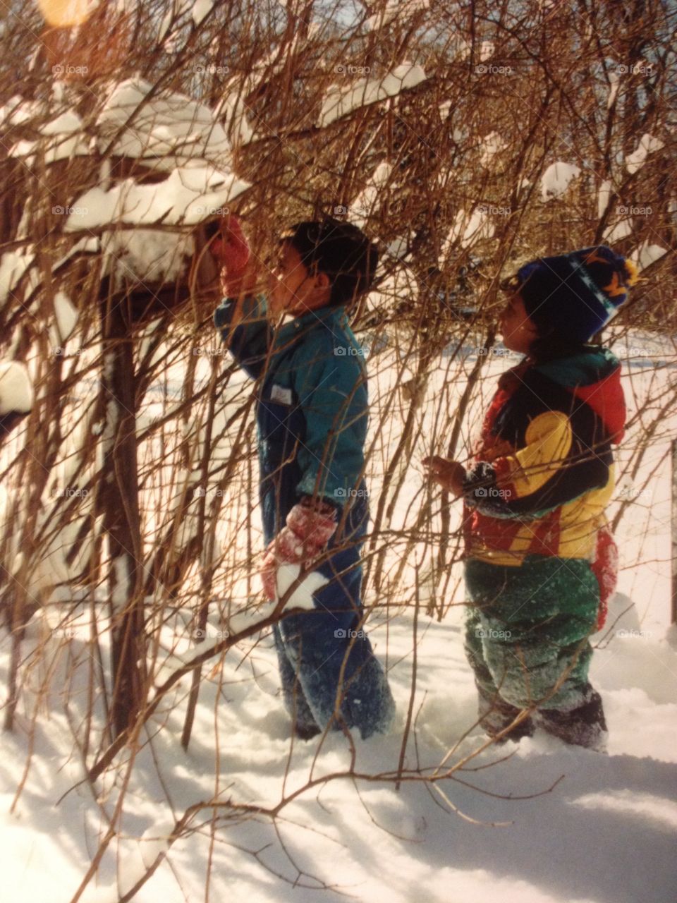 Checking in the bird