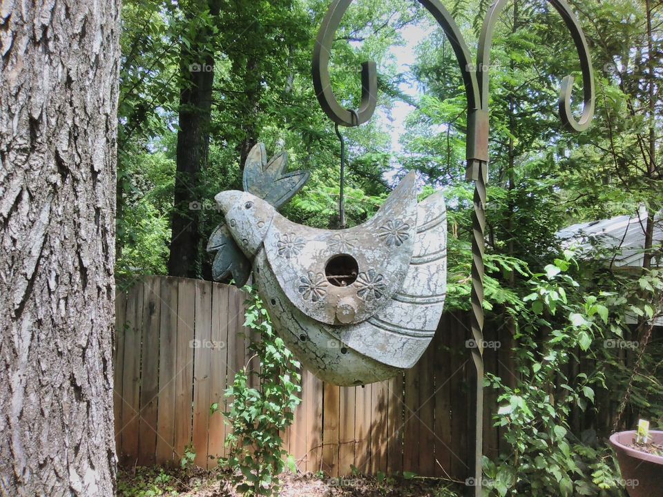bird house in my yard
