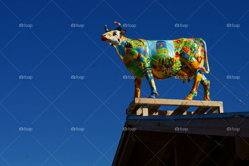 colors crazy cow hippie by lexlebeur