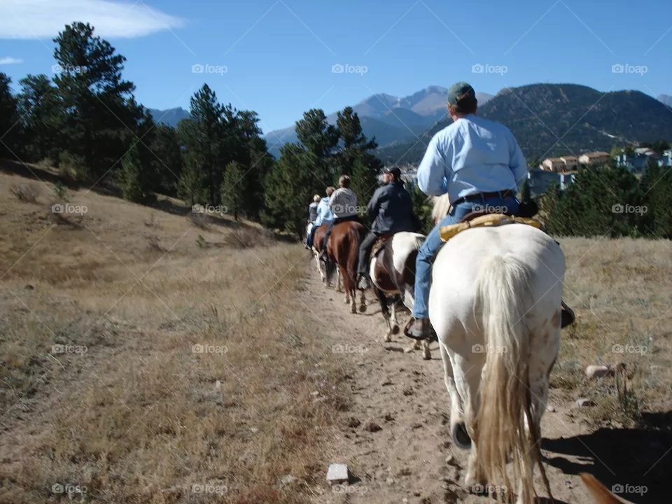Trail Ride