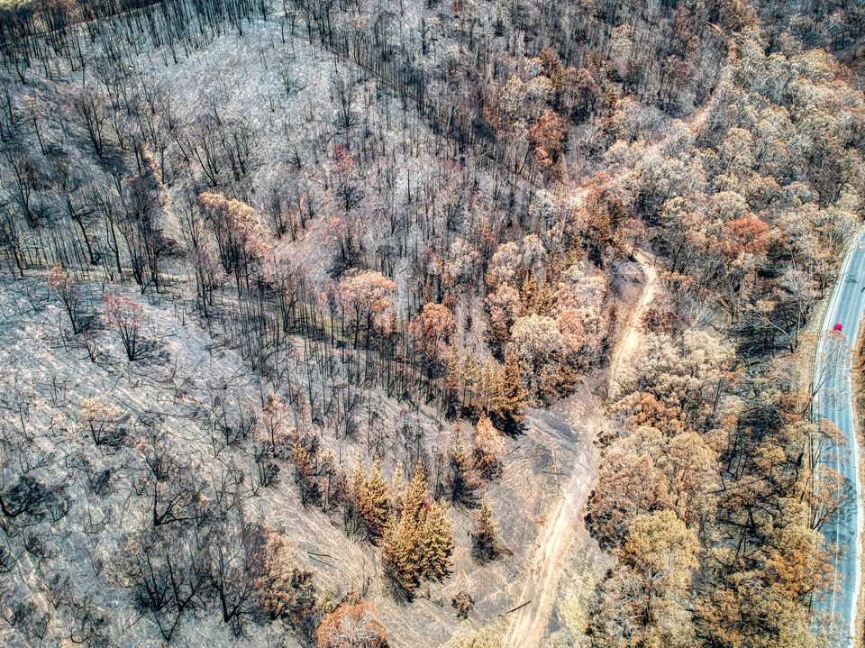 Cudlee Creek bushfires