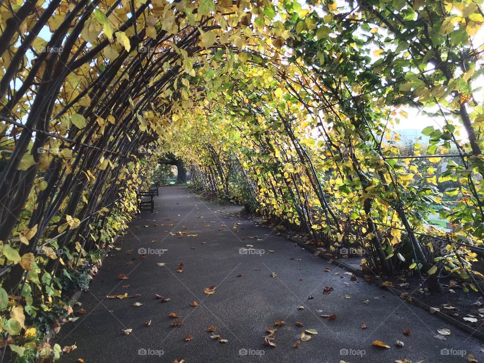 Walkway