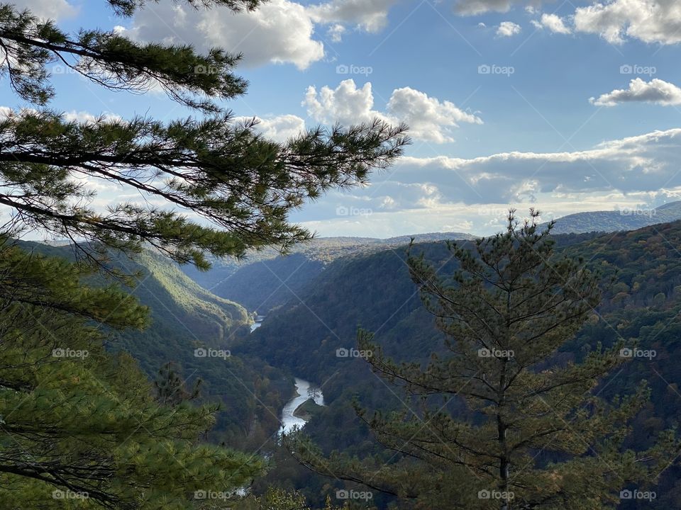 In a room with a view