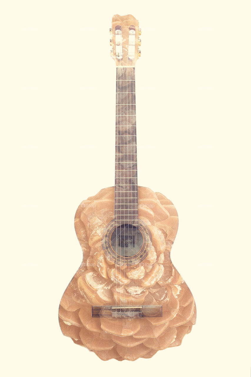 Cone guitar