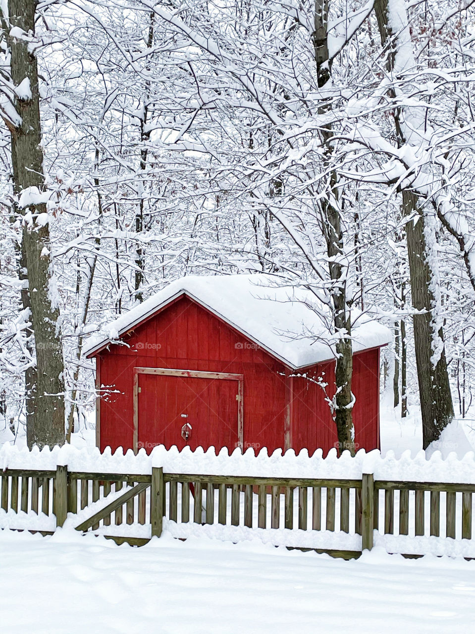 A red barn, shed surrounded by snowy trees. Christmas card perfect image. 