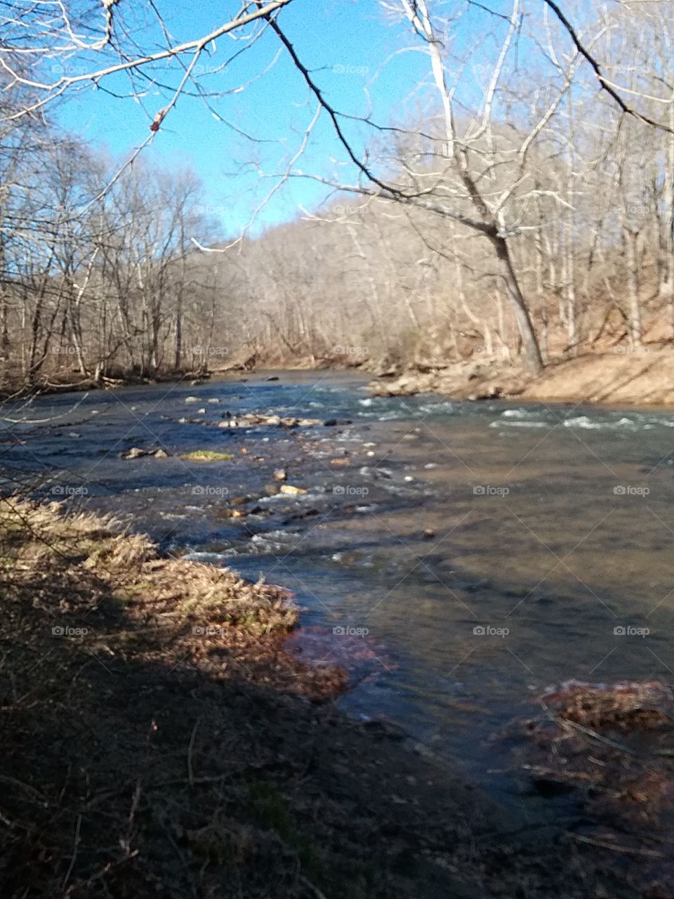 Spring is in the air. Beautiful Nature. River