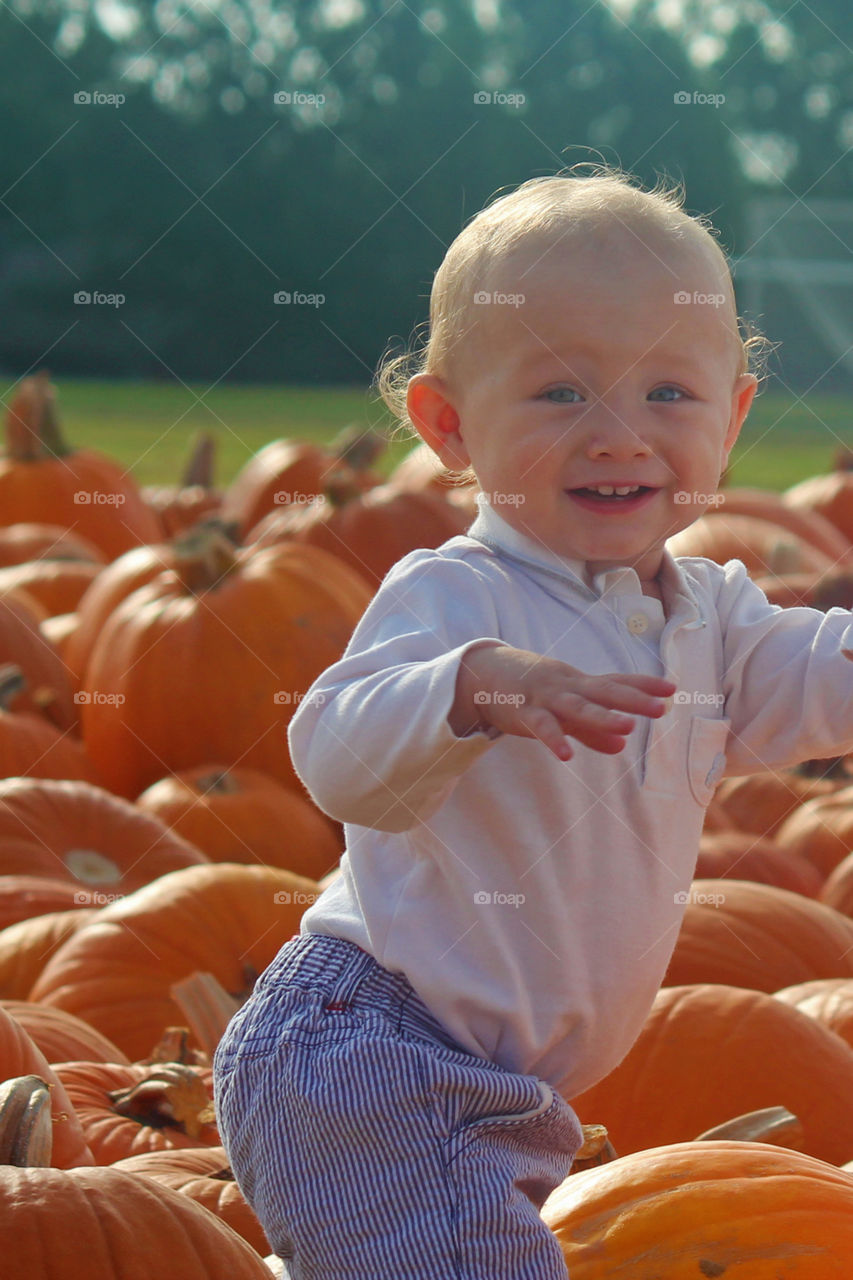 Pumpkin patch 