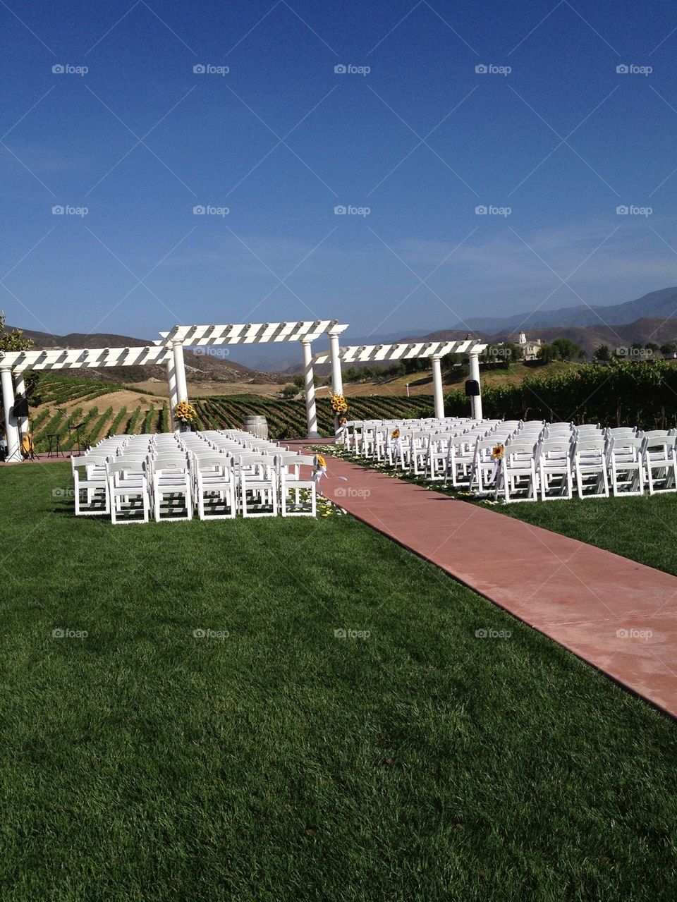 Vineyard Wedding