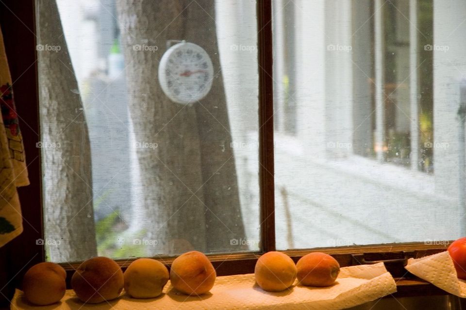 Peaches in a window