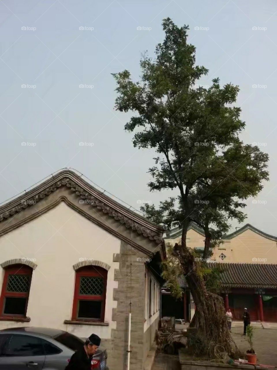 Architectural scenery