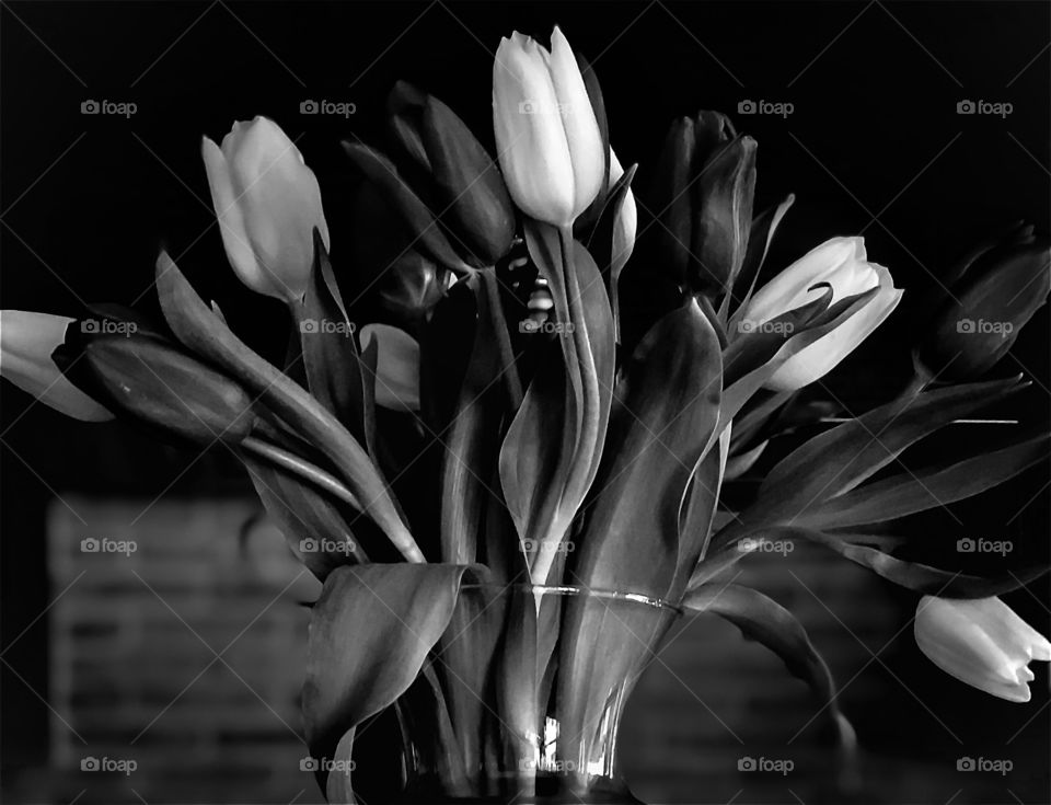 Foap Mission “Black And White”! Stunning Vase of Tulips In Black And White!