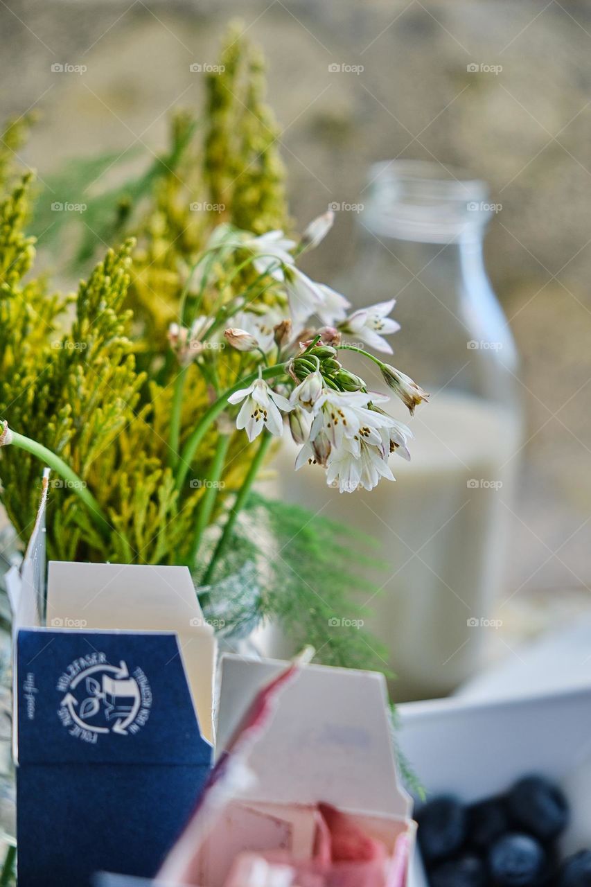 Small white flowers make up a green branch on a table with a bottle of milk and other objects
