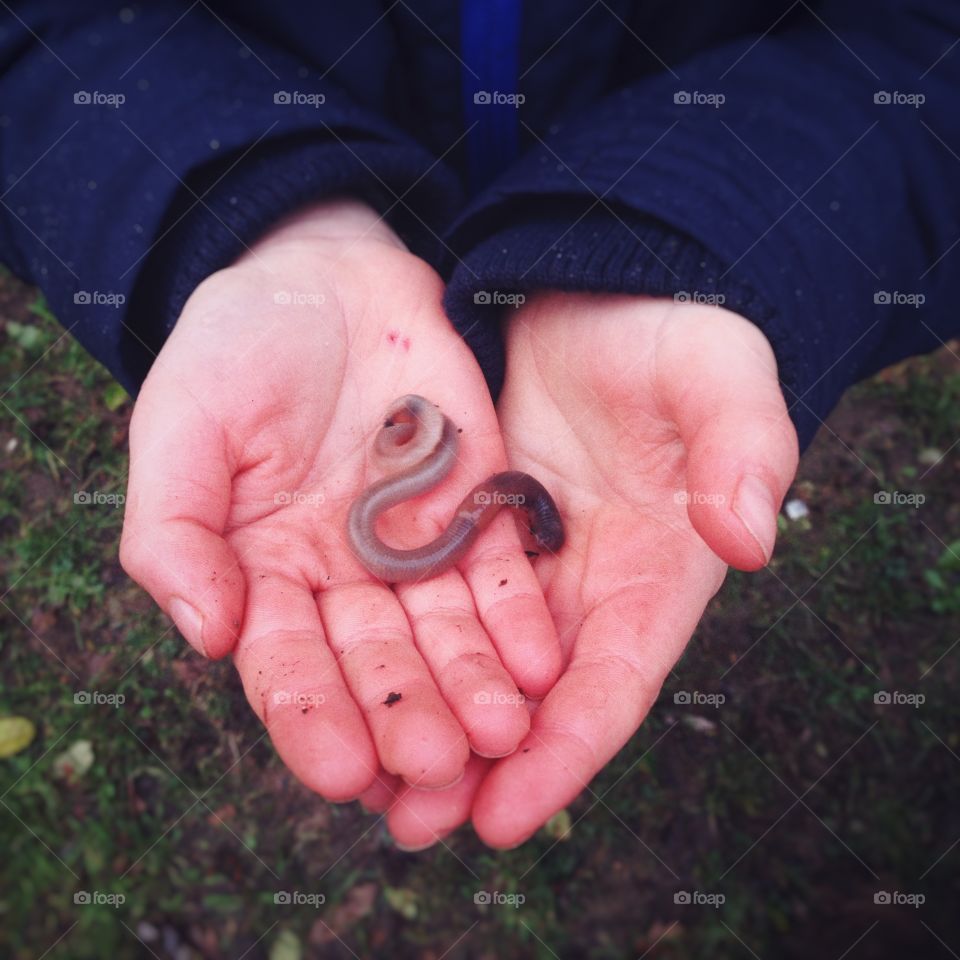 Six year old boy holding a large earthworm
