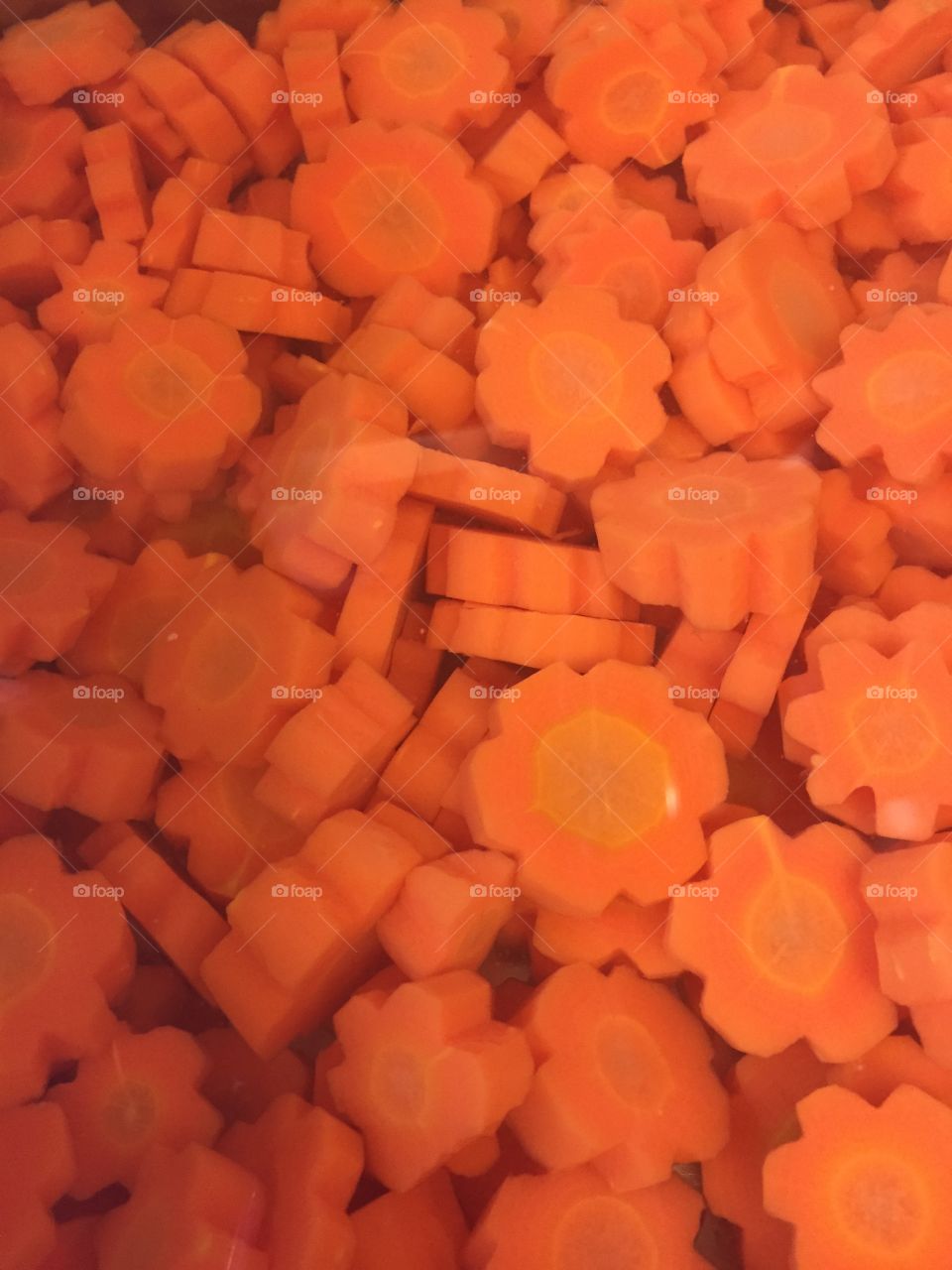 Carrots in bloom