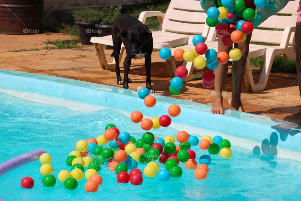 Getting ready for fun, a kid scatters hundreds of colorful plastic balls in the swimming pool while a dog looks at them anxious to start playing.