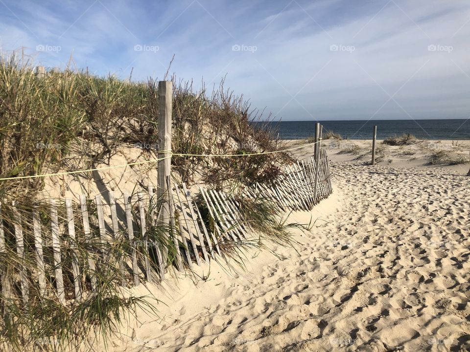 Nauset Beach Dunes