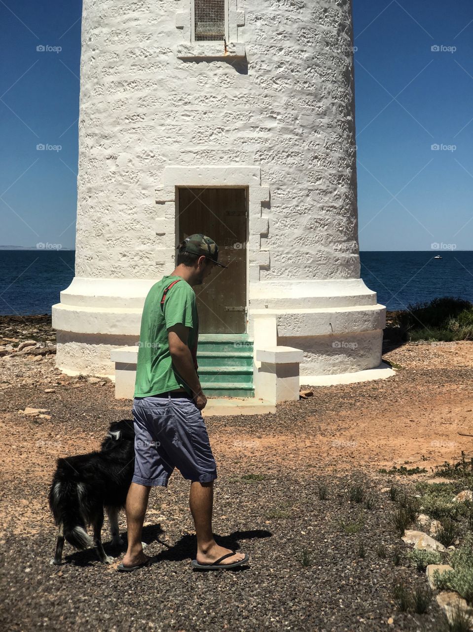 Young man walking border collie sheepdog past lighthouse 