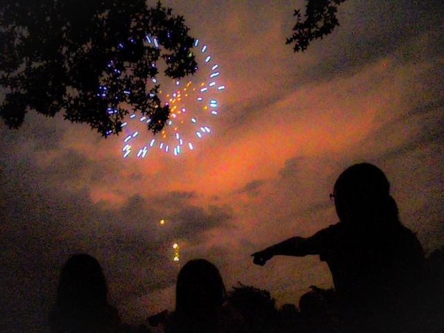 Backyard Fireworks Show