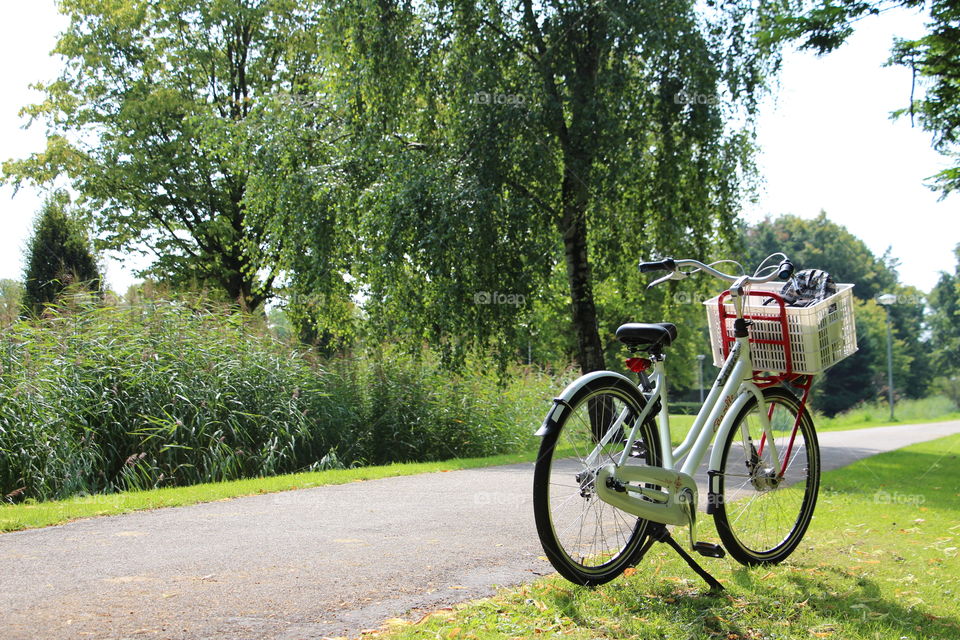 Bike on a bike path along trees and a canal.