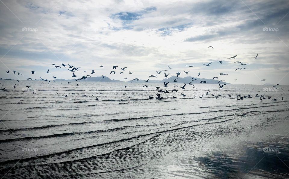 ‏Its price cannot be estimated