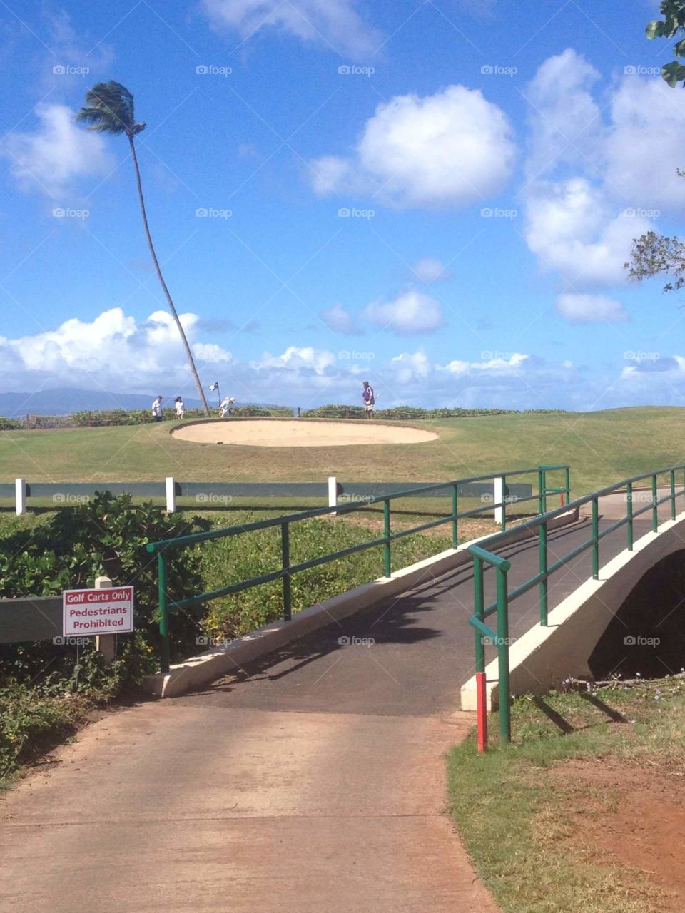 Golfing . Maui