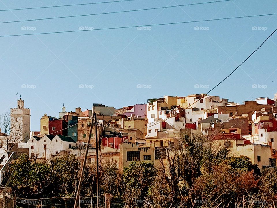 Population between the nature