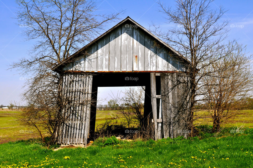 tree trees barn leaning by refocusphoto