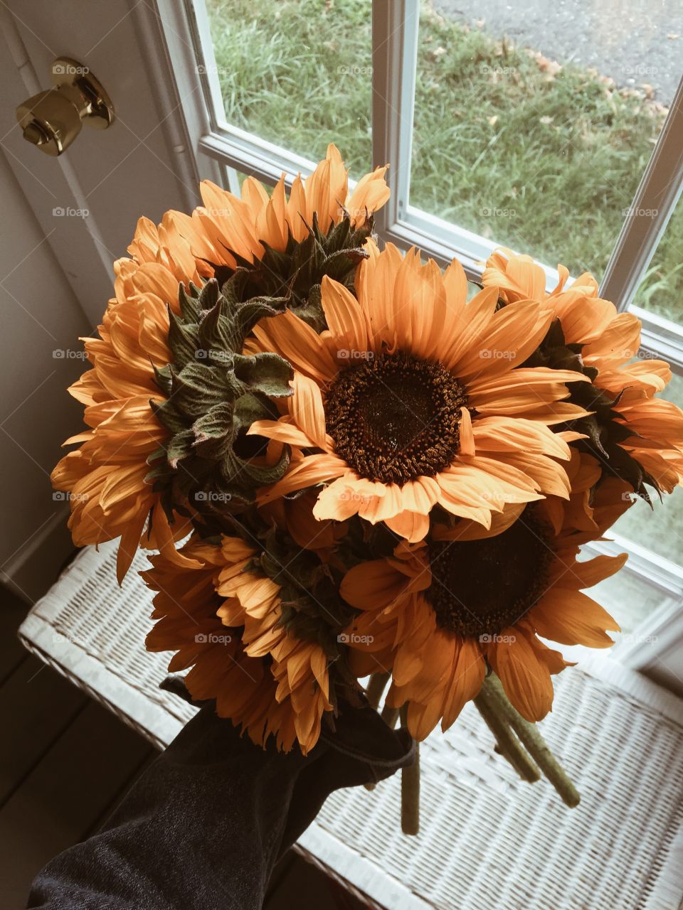 Yo sunflowers